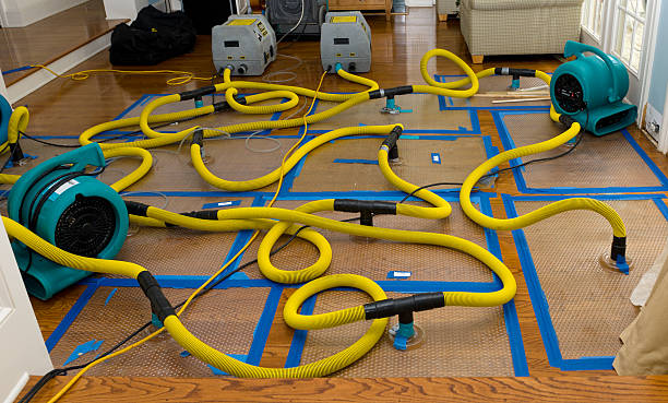 Professional Basement Flood Cleanup technician working in Cairo, OH